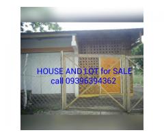 for sale house and lot