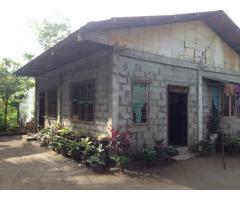 House&lot In Tacurong City (300sqm)400k Olny