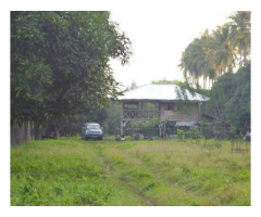 2 ha Mango Farm Livestock Koronadal City