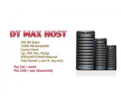 Web Hosting & Domain