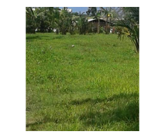 150 sqm Homelot in sarangani 